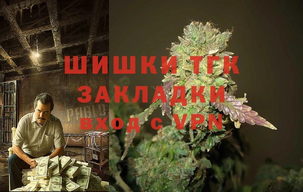 сатива Алексеевка