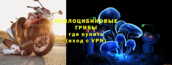 сатива Алексеевка