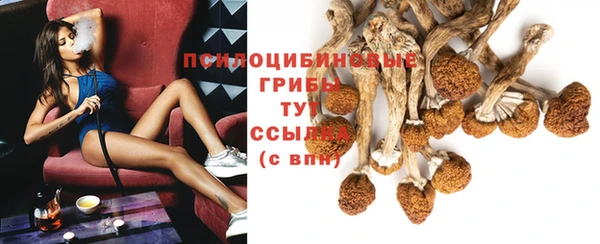 не бодяженный Нефтекумск