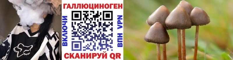 Псилоцибиновые грибы Psilocybine cubensis что такое наркотик omg ONION Аргун